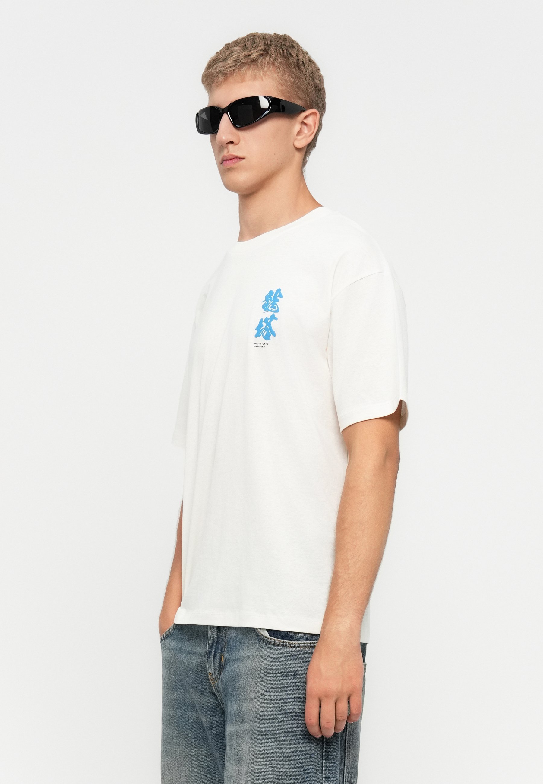 Jack & Jones JORDRAGON T-shirt met ronde hals - T-shirt met print - reiger