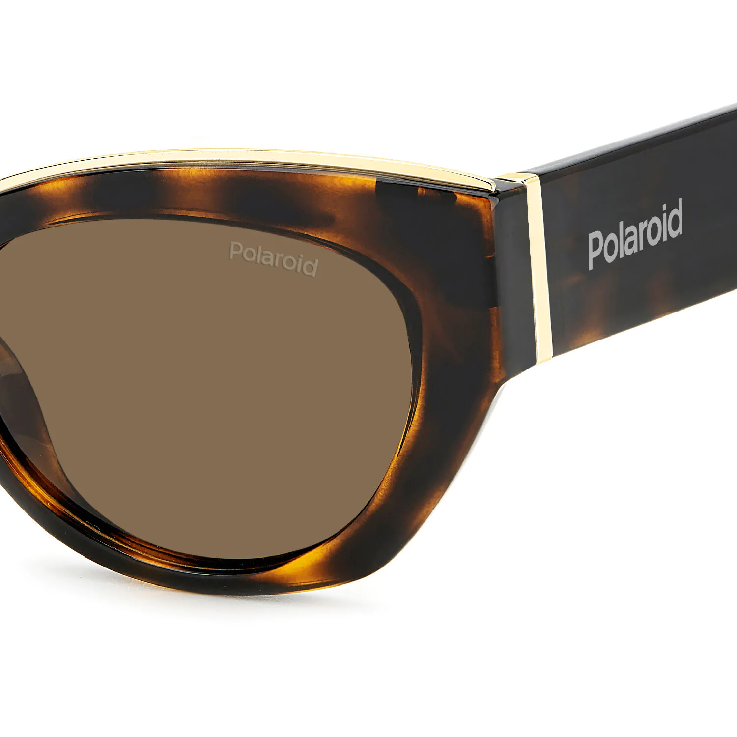 Okulary przeciwsłoneczne PLD 6199/S/X