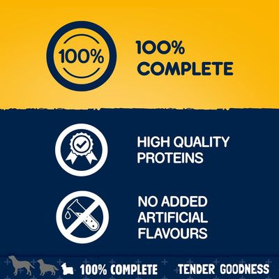 Chiens de race adulte de petite race - Tendres et délicieux avec volaille