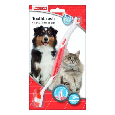 Brosse à dents beaphar