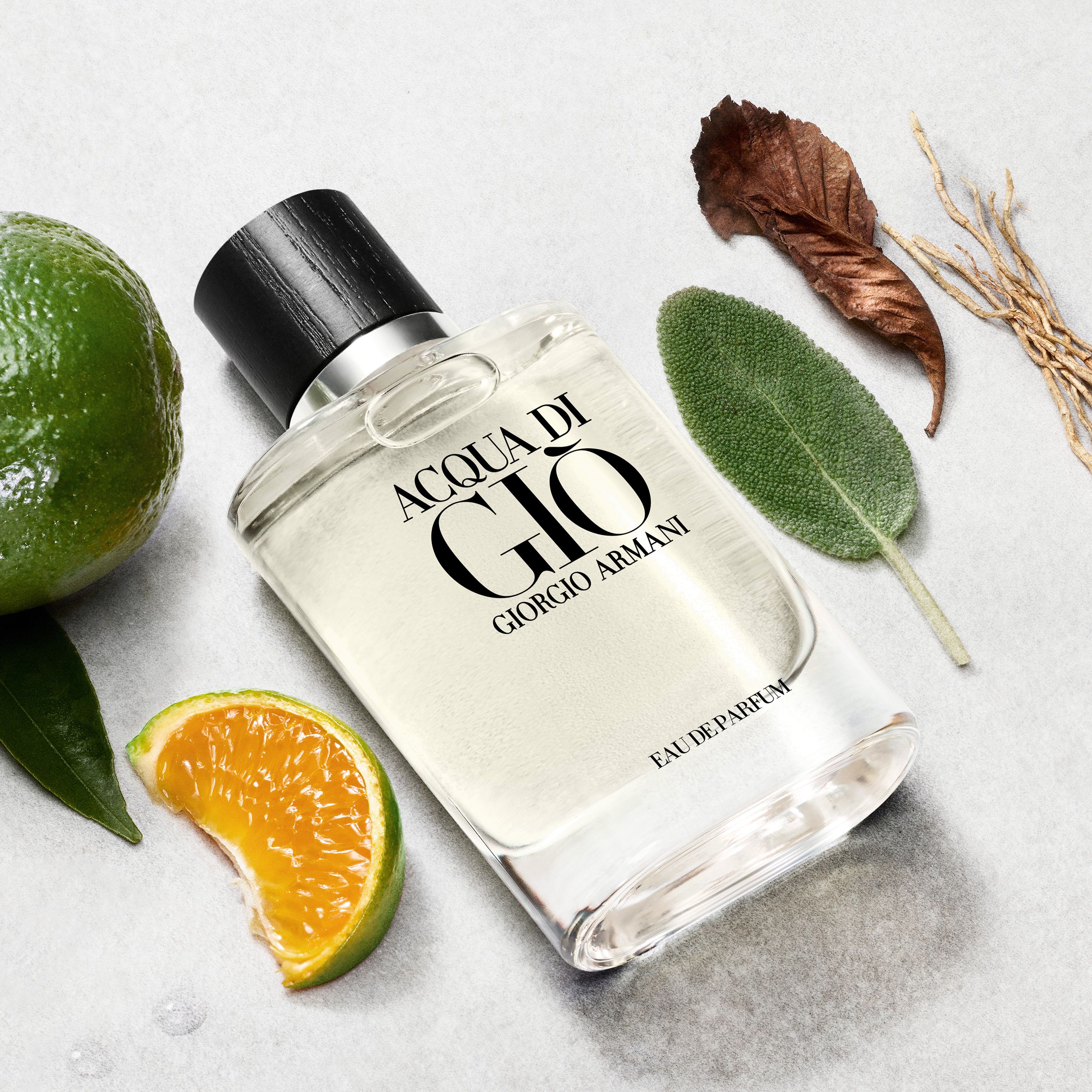 Acqua Di Gio Homme EDP Limited Edition Kvepalai vyrams
