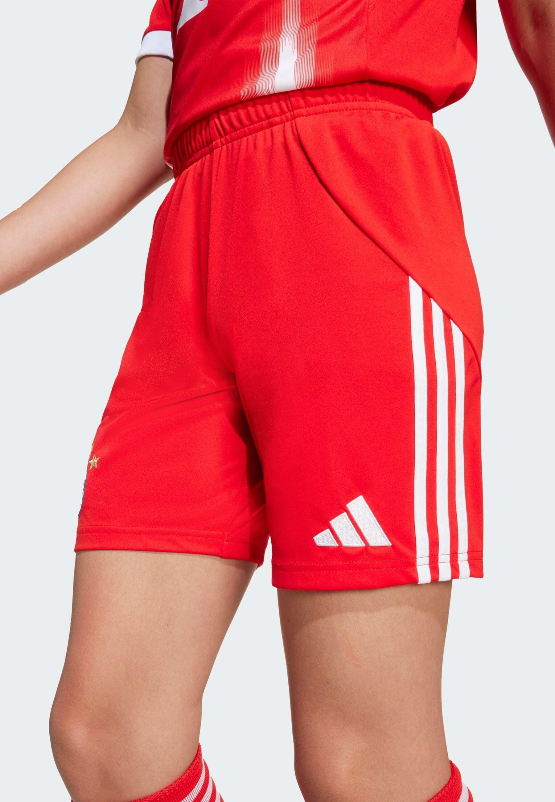 adidas Performance FC BAYERN - Sportshorts - rood