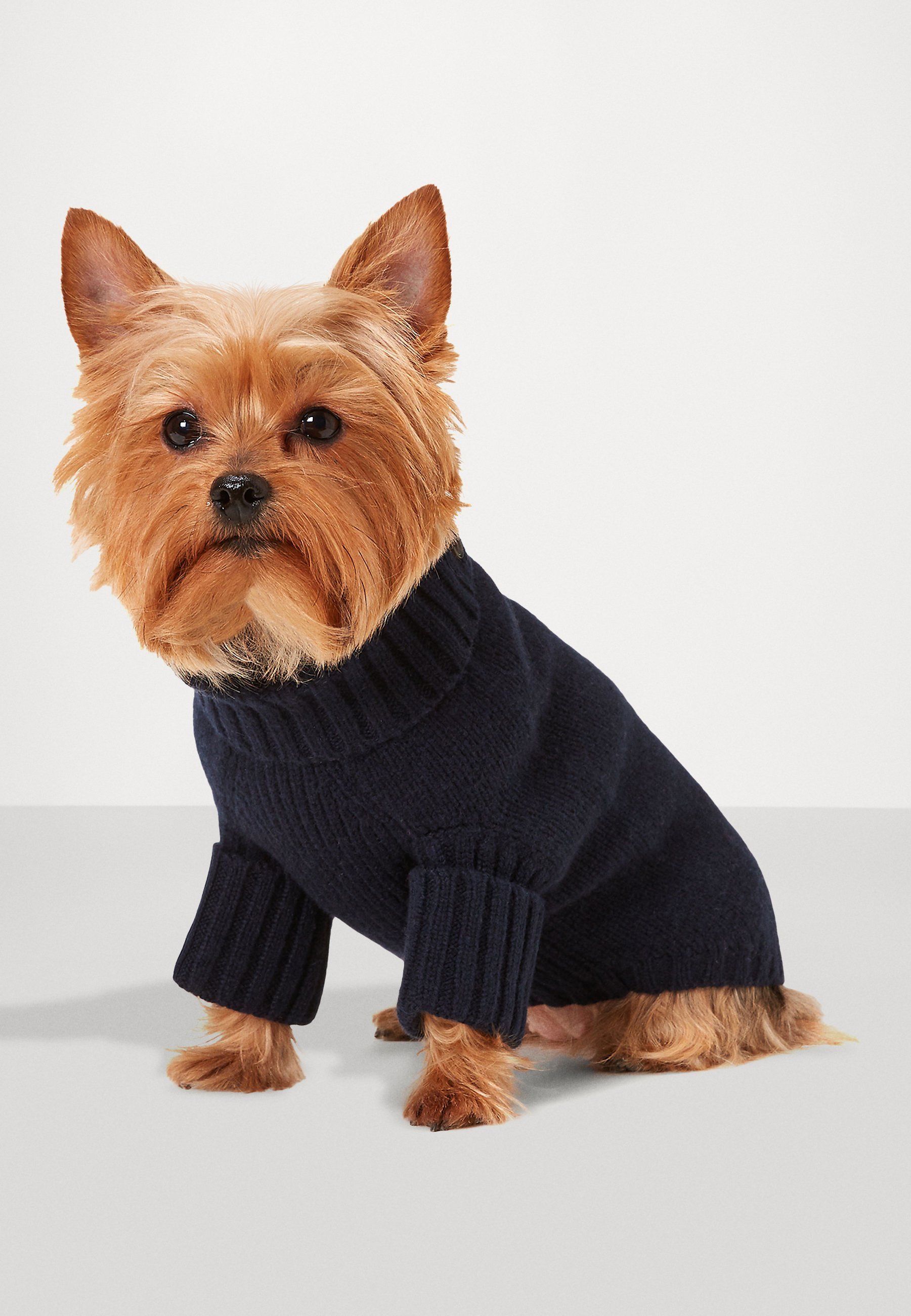 Polo Ralph Lauren huisdier