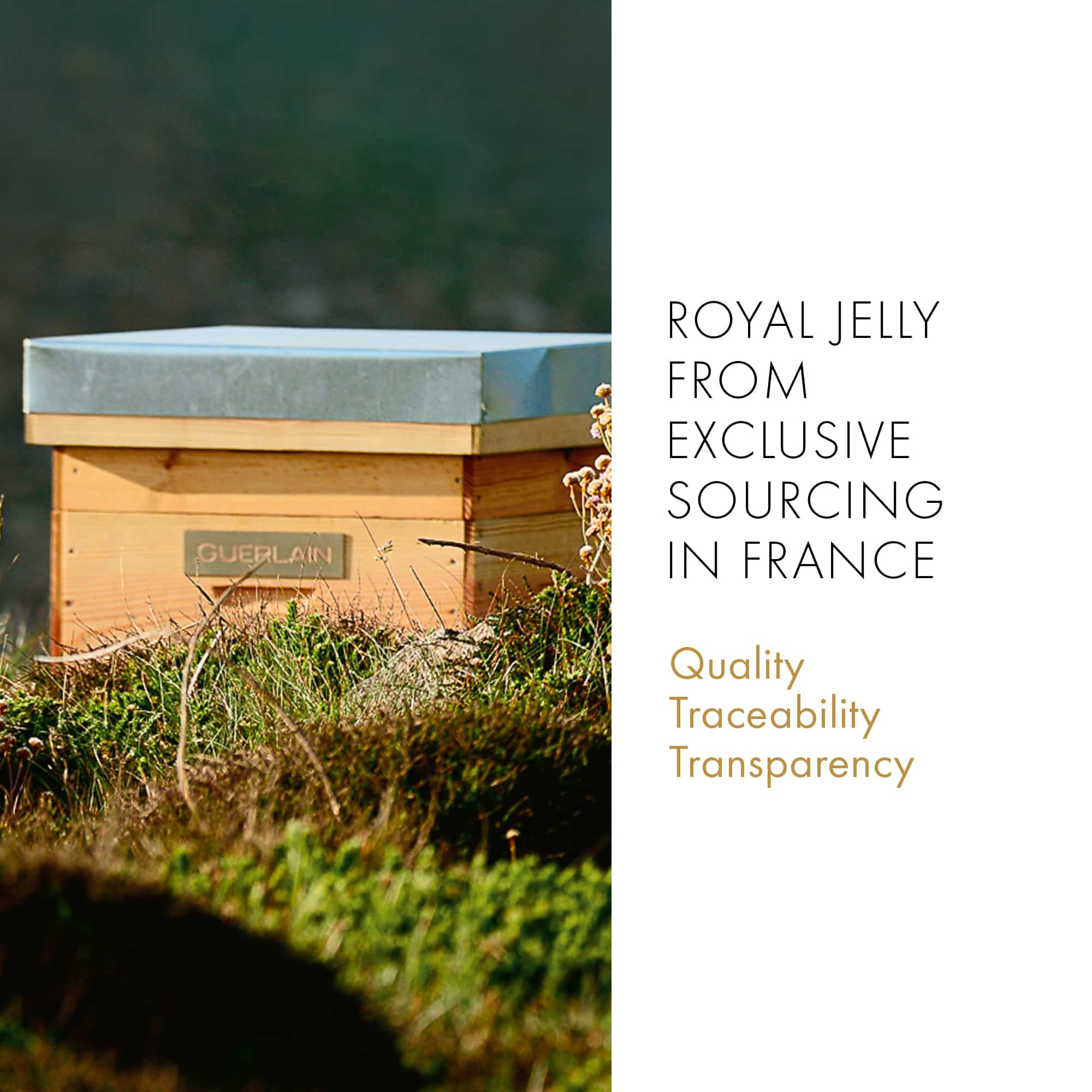 Abeille Royale Lotion 150 ml - GUERLAIN