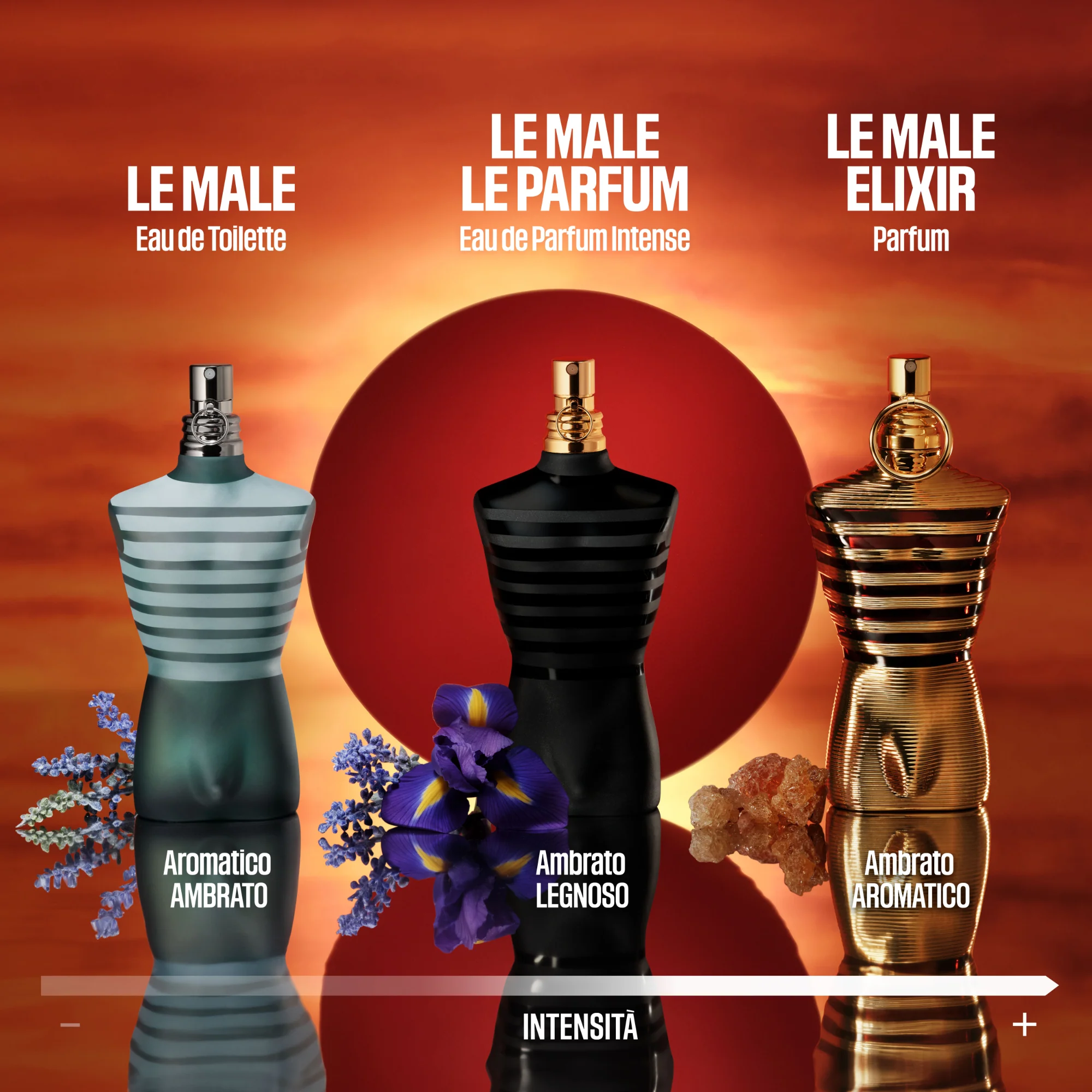 Le Male Elixir - Parfum Uomo, Parfum