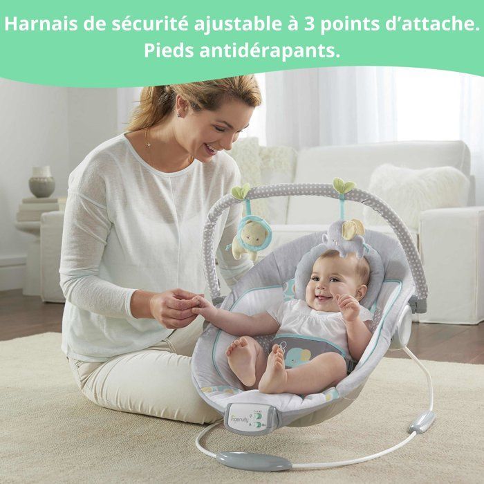 INGENUITY Baby Bouncer - Morrison - Arch with Removable Activity Toys, 8 Melodies, Soothing Vibrations, Baby Gift