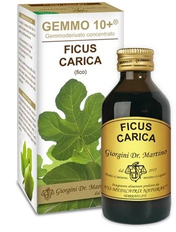 DR. GIORGINI Dr. Giorgini Gemmo 10+ figue sans alcool 100 ml Convient aux enfants