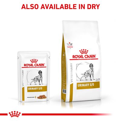 Royal Canin Veterinary Dog - Urinary S/O in Gravy