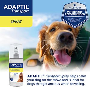 ADAPTIL® Transportspray