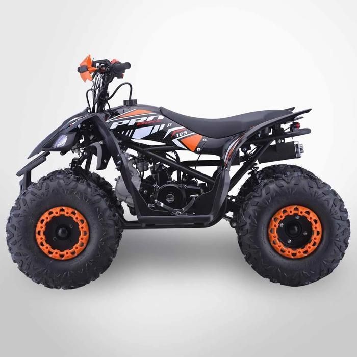 Quad infantil de 125 cm³ PROBIKE 125-R / Naranja