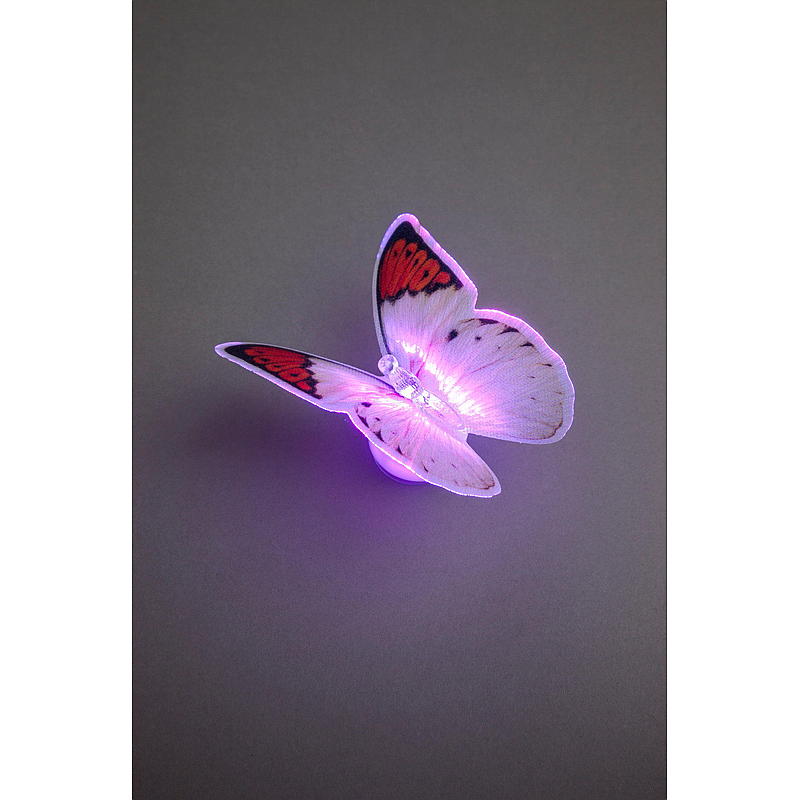 Leichter IT-Schmetterling mit Saugnapf und LED-Beleuchtung