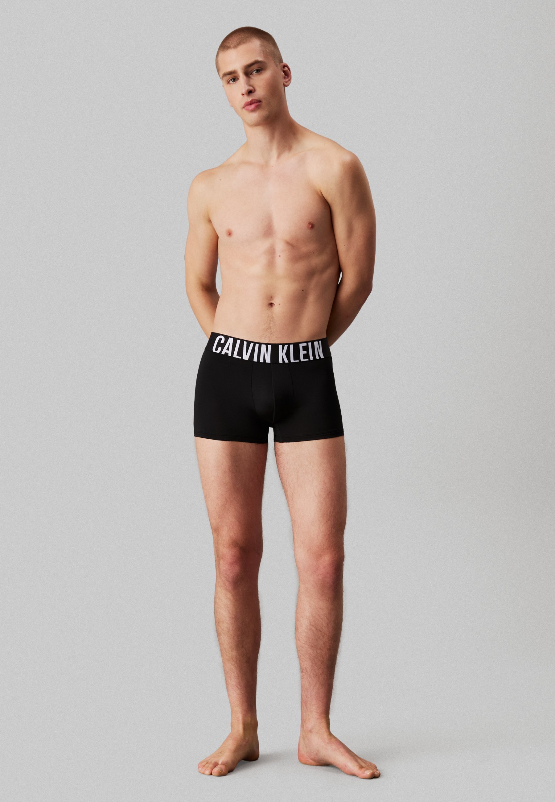 Calvin Klein Underwear TRUNK INTENSE POWER 3-PACK - Boxershorts - mistig grijs/wit/bloesemgroen