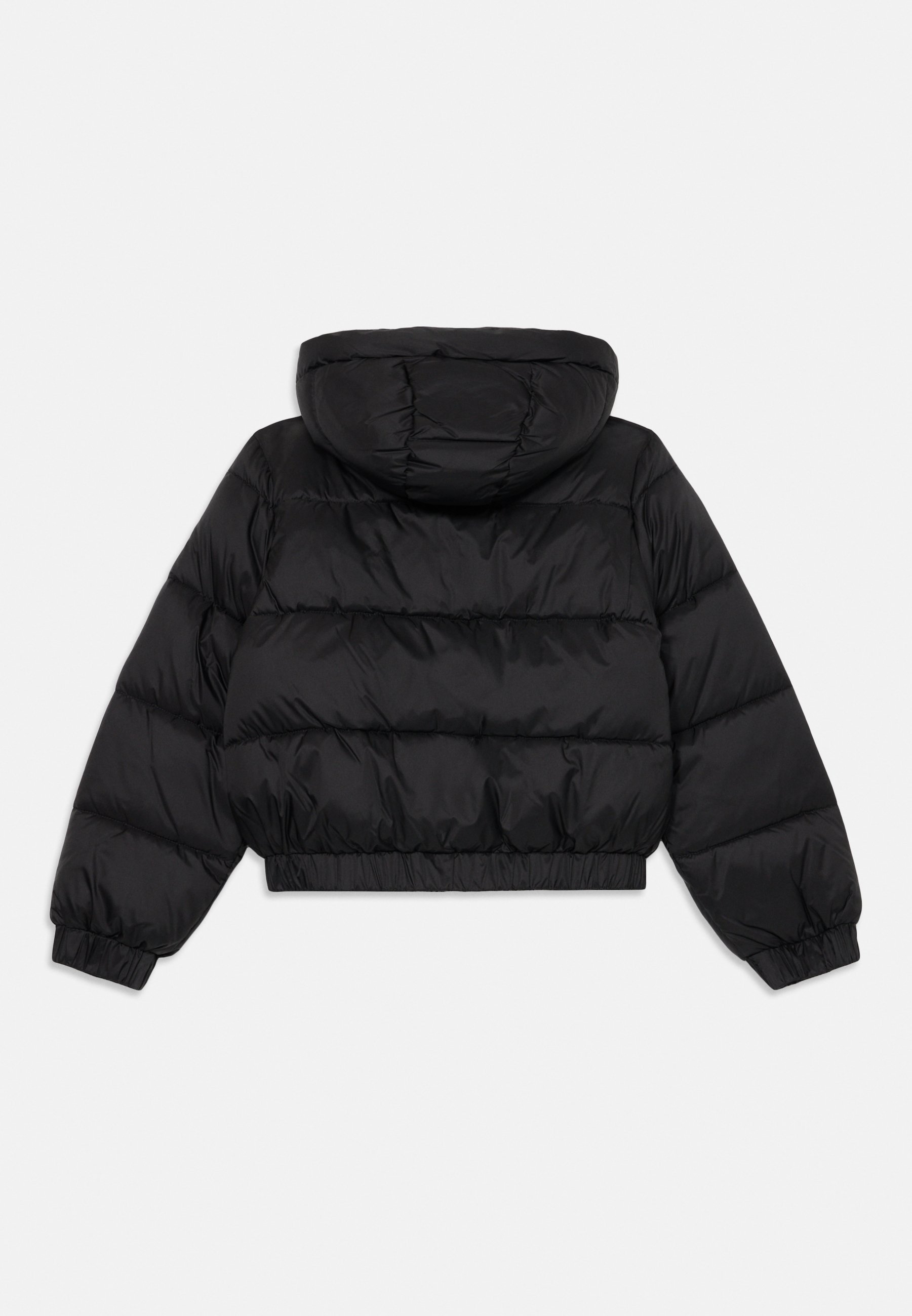 EA7 Emporio Armani JAS - Winterjas - zwart