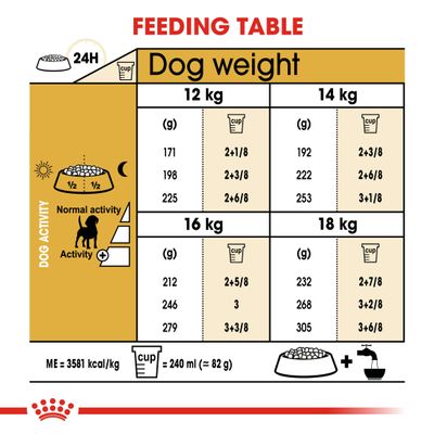 Royal Canin Beagle Ενήλικα