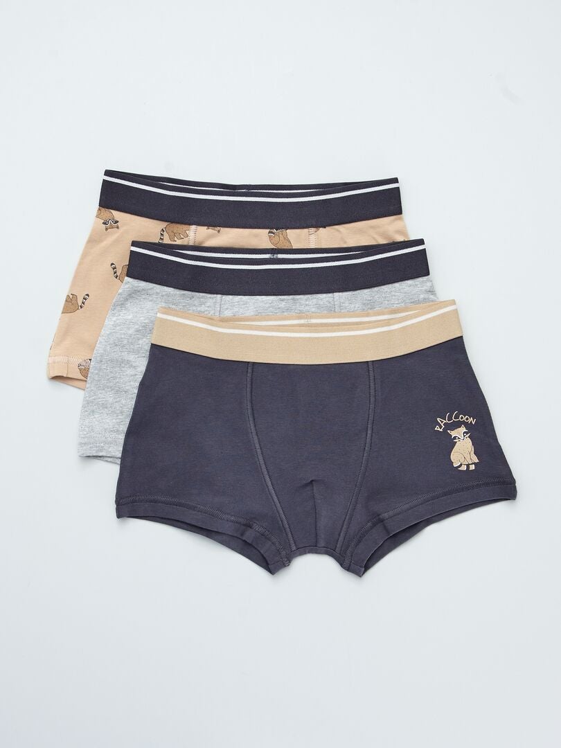 Set van 3 boxershorts - BRUIN