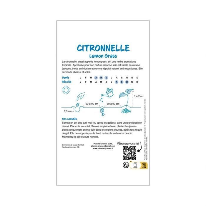 50 graines de citronnelle - lemongrass - Cymbopogon citratus