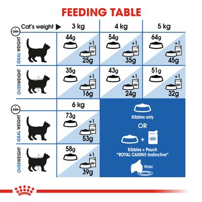 Royal Canin Innendørs Langhår