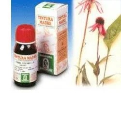 SPECCHIASOL Specchiasol Echinacea 59 Urtinktur 50 ml