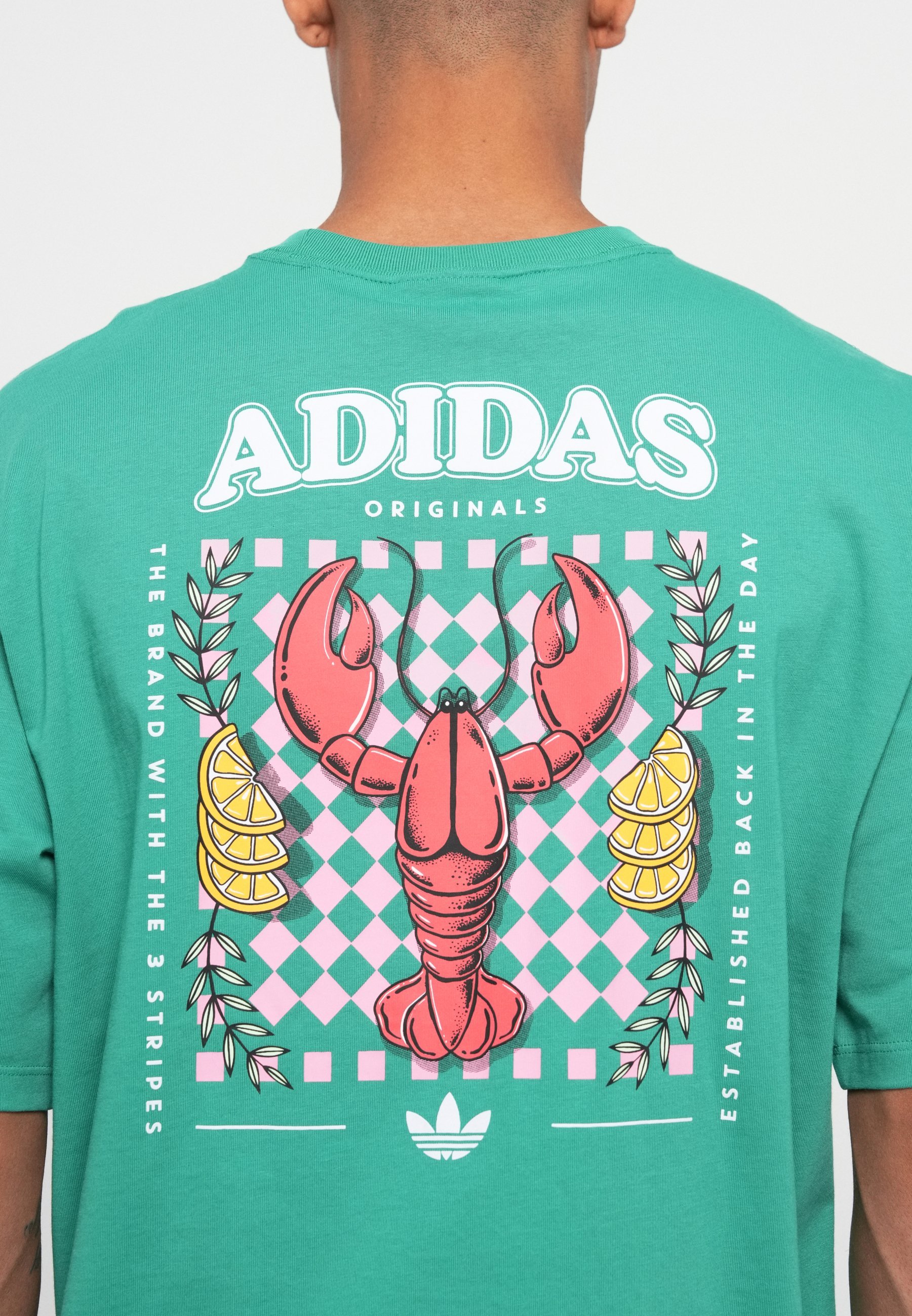 adidas Originals T-shirt Homard Unisexe - Imprimé - Vert semi-court
