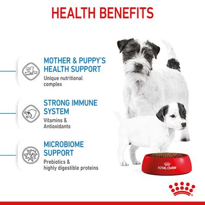 Royal Canin Mini Starter Hrană uscată pentru mame și câini mici
