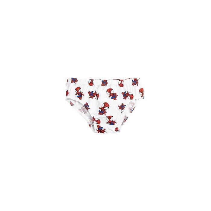 Ensemble de sous-vêtements - Spidey - Garçon - 5 pièces - 100% coton - Multicolore