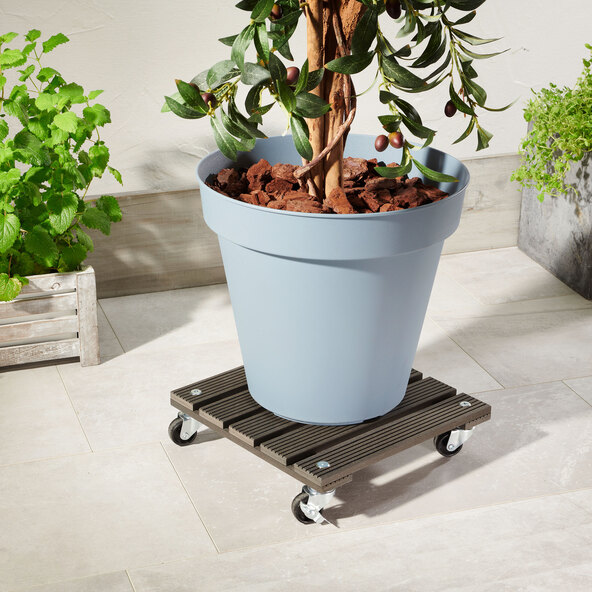 Plant trolley, grey, square