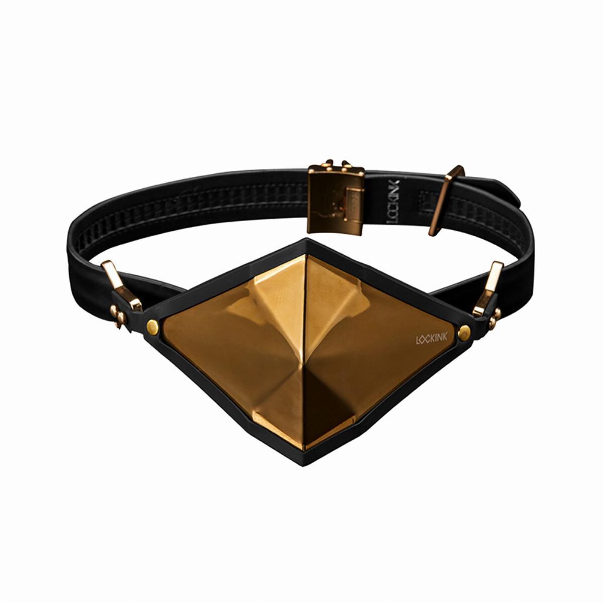Σετ φιμωμάτων Lockink Golden Punker Golden