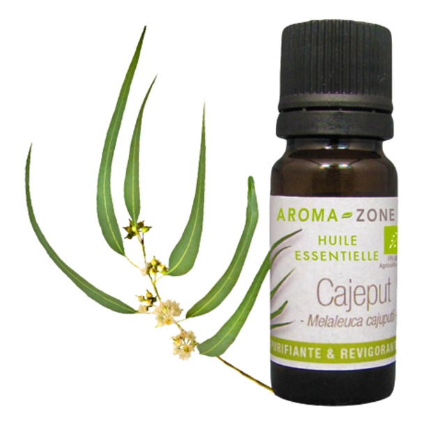 Ätherisches Bio-Cajeputöl, 30 ml