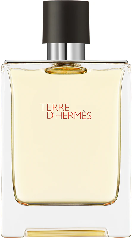 HERMÈS Terre d'Hermès eau de toilette voor mannen