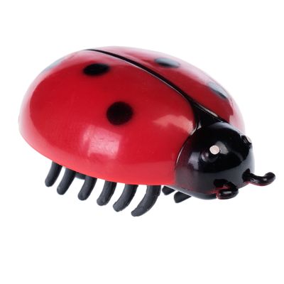 Jouets pour chats insectes