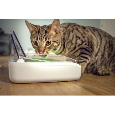 Bol sigilat pentru animale de companie SureFeed