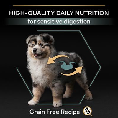 Purina Pro Plan, alle maten, puppy's met gevoelige spijsvertering, graanvrij, kalkoen.