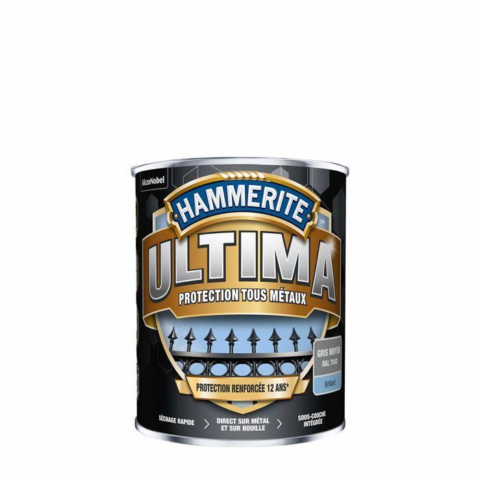 Peinture - vernis - traitement (lasure - effets decoratifs) Hammerite - 5362747