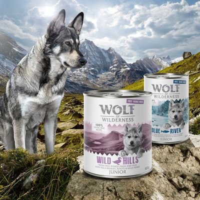 Wolf of Wilderness szabadon tartott vegyes falkák