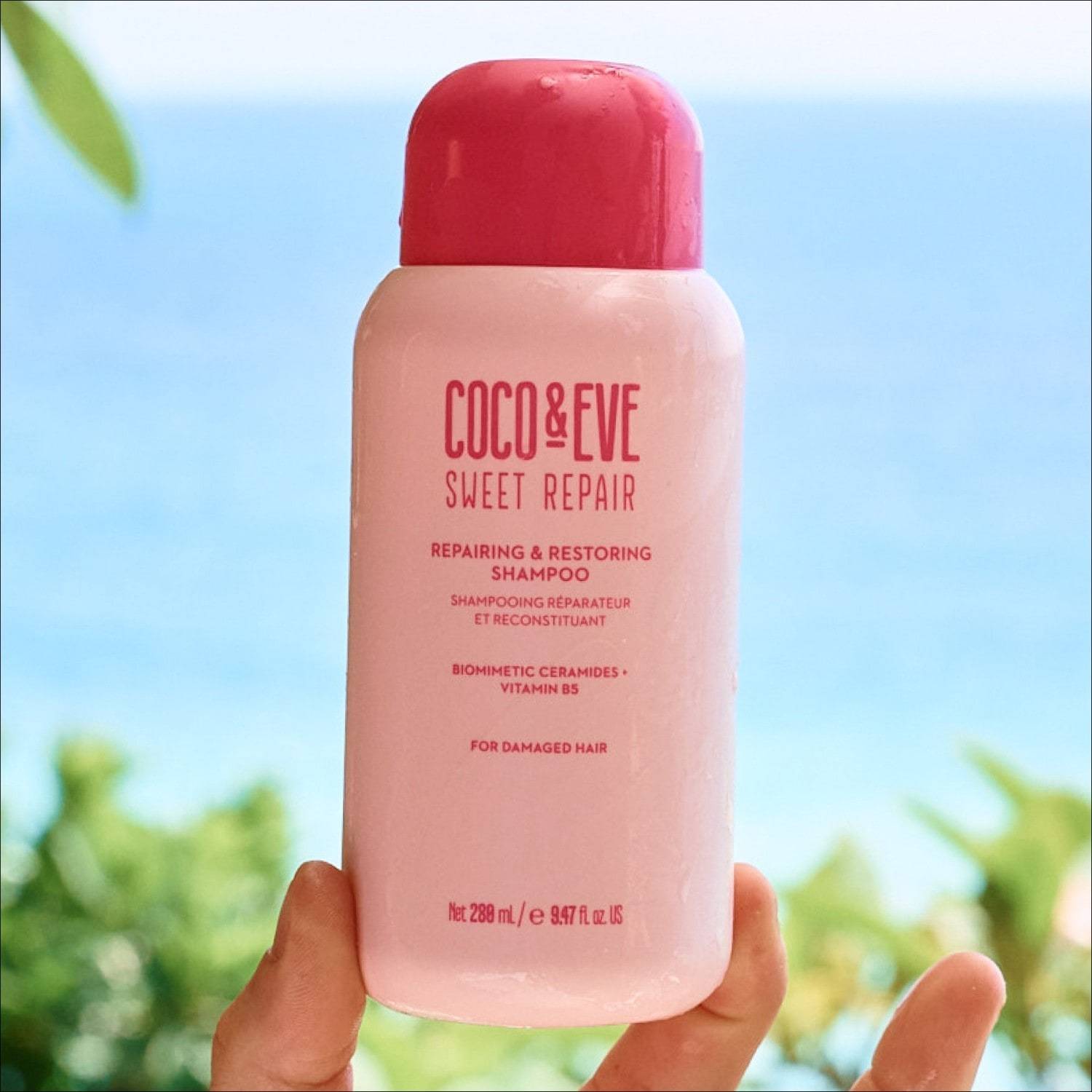 Coco & Eve Sweet Repair šampon za kosu – Obnavljajući i regenerirajući šampon – 70 ml