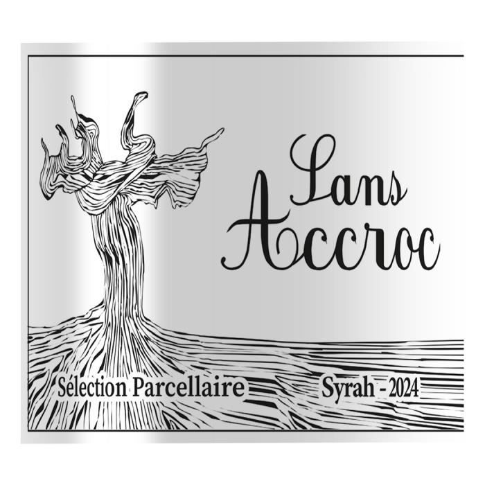 Sans Accroc 2024 Selección de viñedo único Valle del Ródano Syrah - Vino Tinto Francés