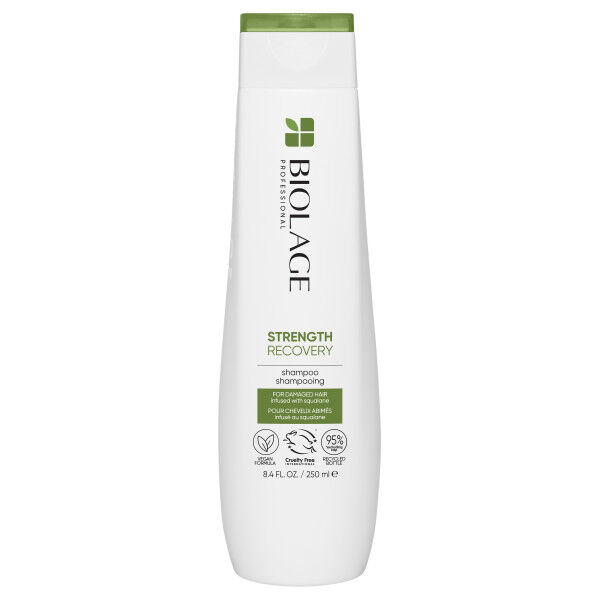 Biolage stiprumo atkūrimas