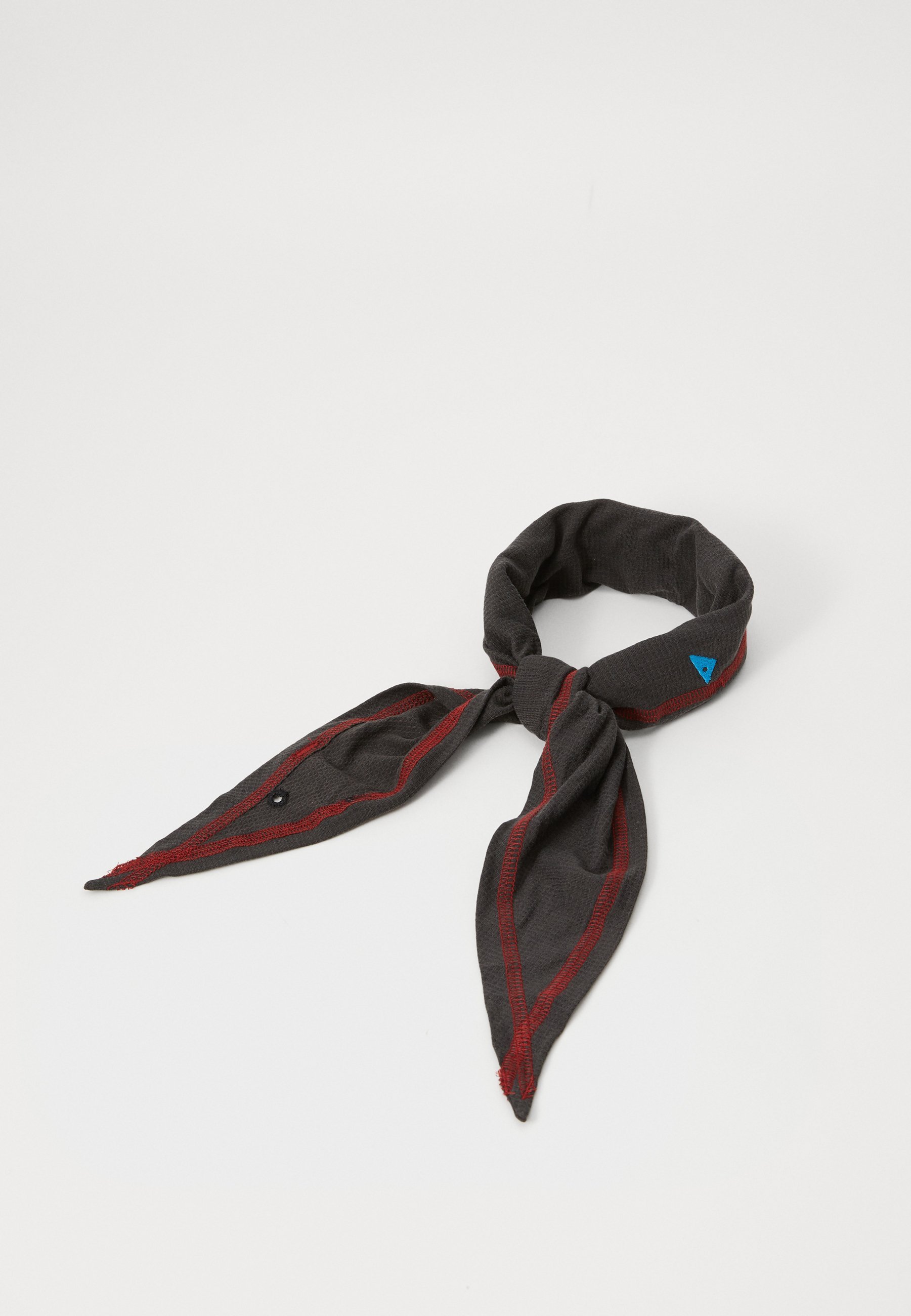 Klättermusen ALLVIS SCARF UNISEX - Foulard - havran
