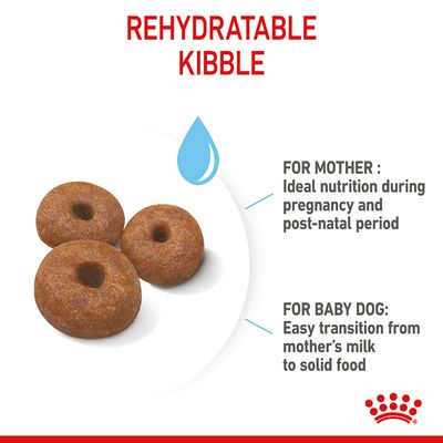 Royal Canin Giant Starter Mother & Babydog