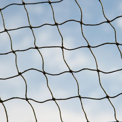 Veiligheidsnet voor katten - Bijtbestendig en met draad versterkt