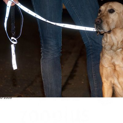 Guinzaglio per cani Trixie con zampe riflettenti - Argento
