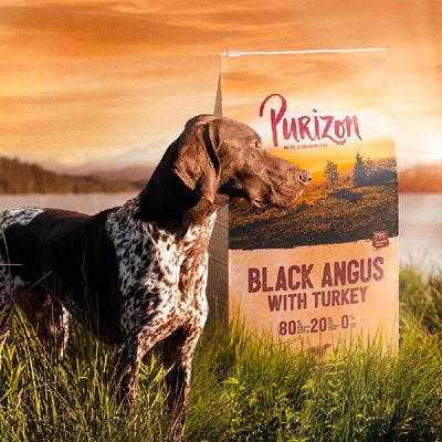 Purizon Black Angus Oksekød med Kalkun Adult – Kornfri