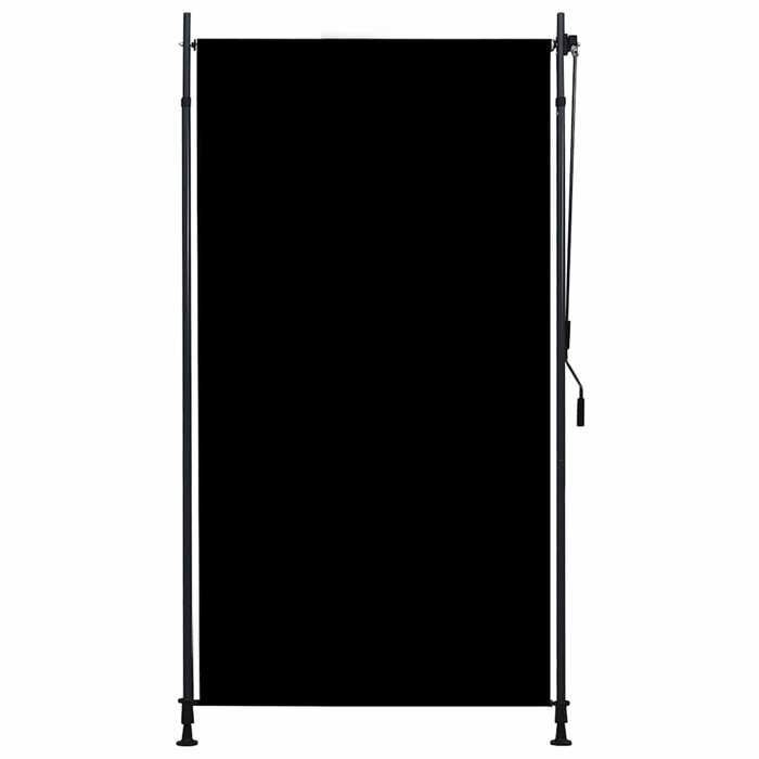 Store roulant d'extérieur - vidaXL - 120 x 270 cm - Anthracite - Manivelle - Réglable