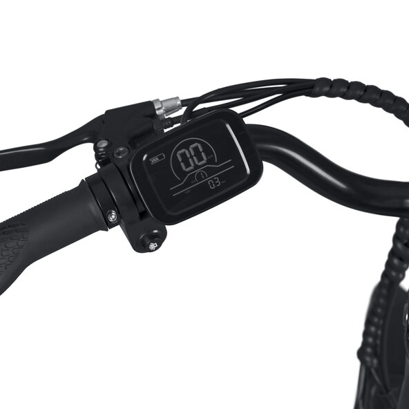Bicicletă electrică de oraș ECR 3001