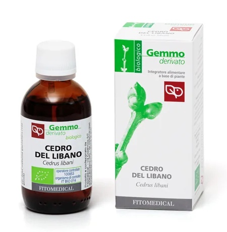 FITOMEDICAL Liibanoni seeder Mg Bio 50 ml