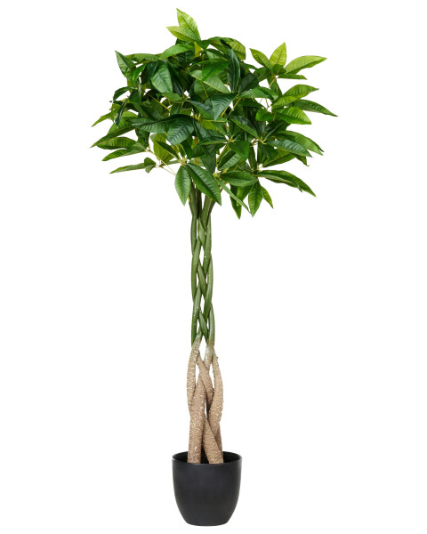 Sztuczna roślina w doniczce 120 cm drzewko pieniężne