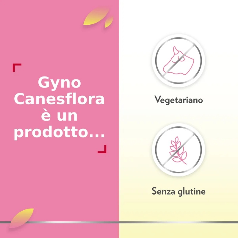 GYNOCANESTEN Gyno Canesflora Probiótico 30 cápsulas Cuidado íntimo para mujeres
