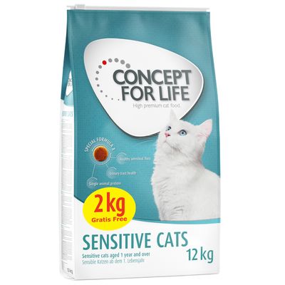 Concept voor Levensgevoelige Katten