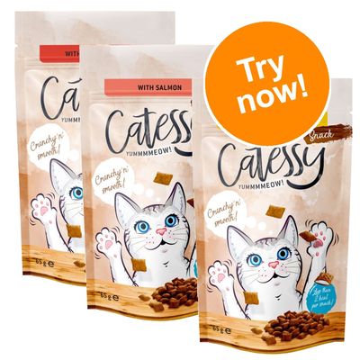 Pachet de probă mixt Catessy Crunchy Snacks 3 x 65g