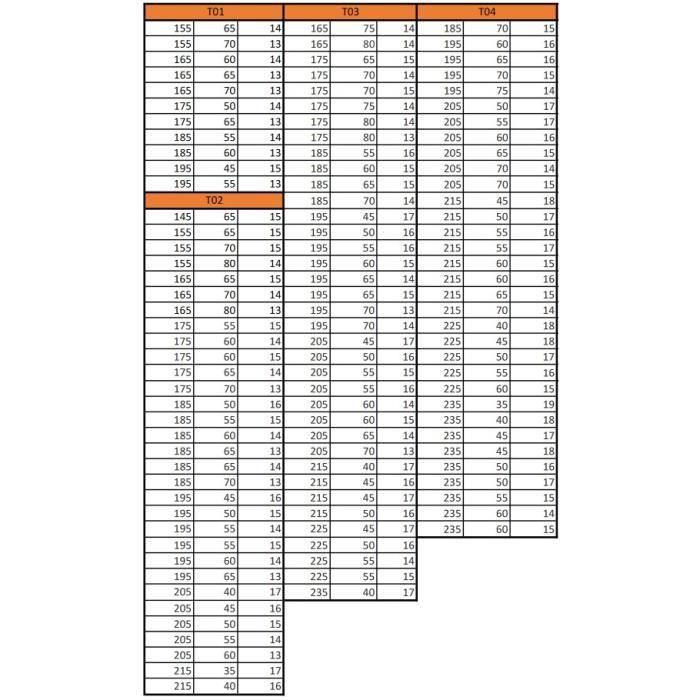 Chaussettes neige TRAZIONE+ T04 pour 195/70 R15, 195/65 R16, 215/60 R16, 205/50 R17, 205/55 R17, 215/55 R17, 225/50 R17, 225/40 R18